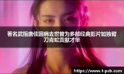 壹号国际电子娱