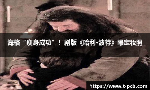 壹号