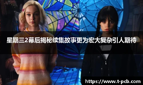 壹号国际