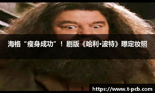 壹号国际电子娱